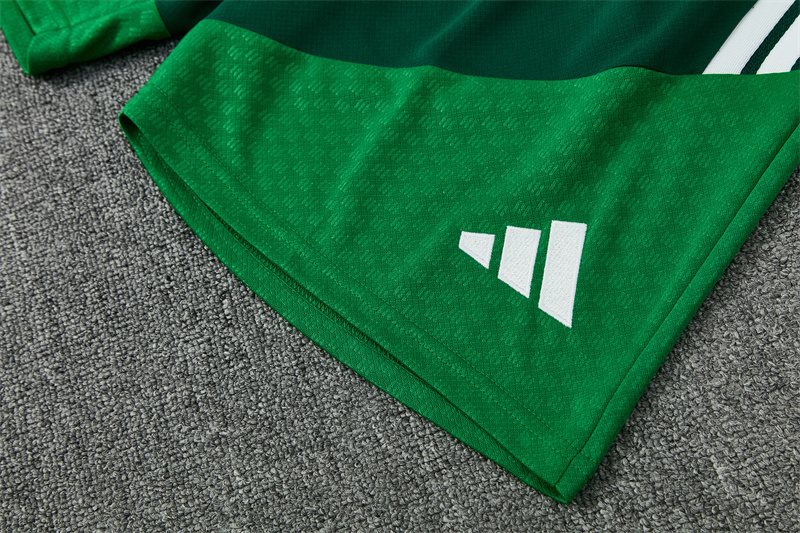 2026-27 Algeria Green Short-Sleeve Training Jersey
