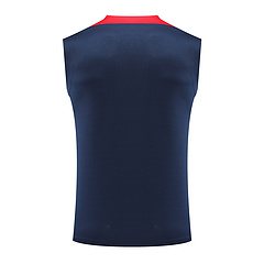 2024-25 Paris Saint-Germain training shirt