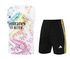 2024-25 Real Madrid Training Vest Jersey
