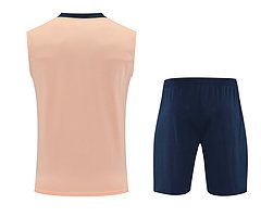 2025-26 Chelsea training vest jersey