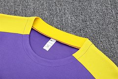 2025-26 Atletico Madrid Purple Short Sleeve Training Jersey