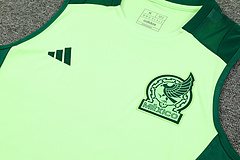 2024-25 Mexico training vest