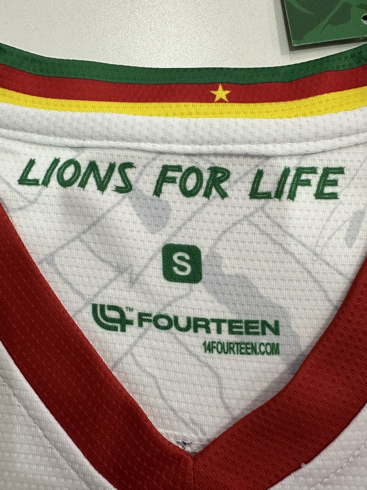 2025-26 Cameroon Second Away Jersey