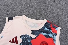 2025-26 Bayern Munich training vest jersey