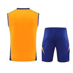 2024-25 Juventus training vest jersey