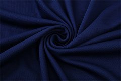 2025-26 Paris Saint-Germain Royal Blue Short Sleeve Training Jersey