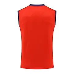 2024-25 Spain training vest jersey