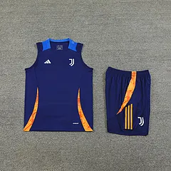 2024-25 Juventus training vest jersey