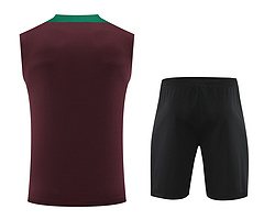 2024-25 Paris Saint-Germain training vest