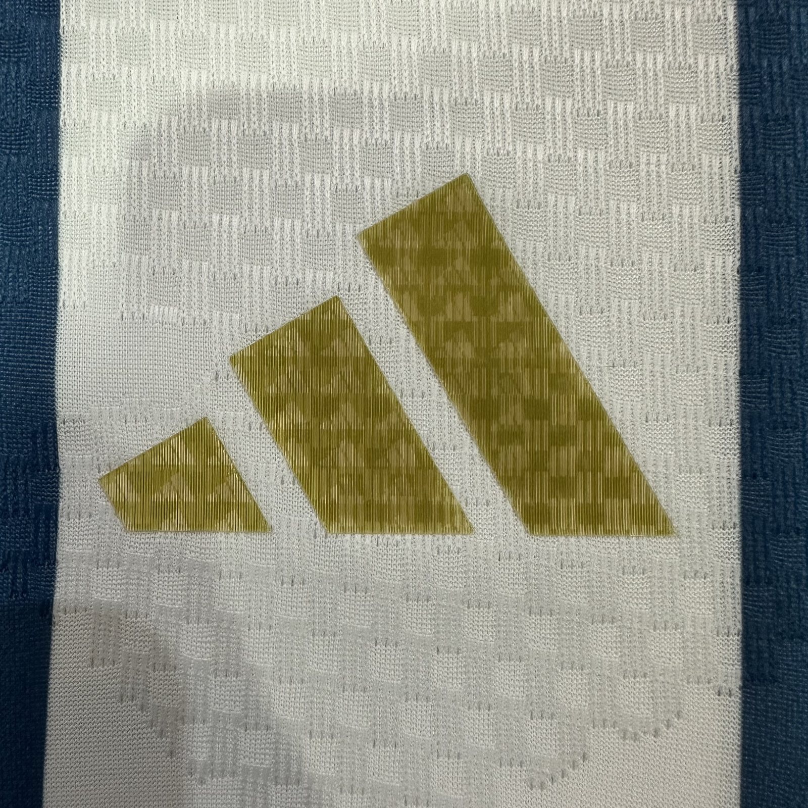 2026-27 Argentina Home Jersey – Player Version