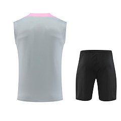 2024-25 Paris Saint-Germain training shirt