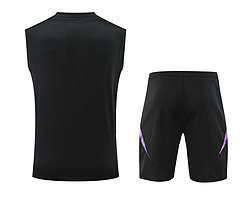 2024-25 Germany training vest jersey