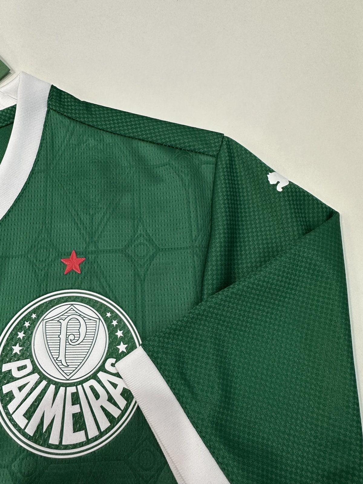 2025-26 Palmeiras Home Jersey – Player Version