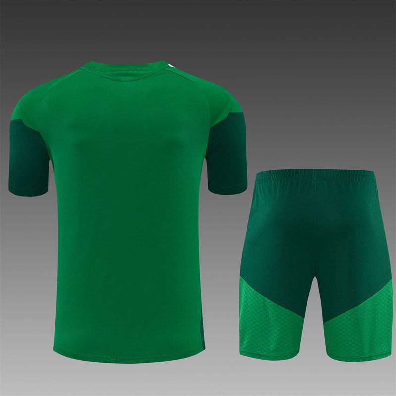 2026-27 Algeria Green Short-Sleeve Training Jersey