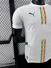 2025-26 Senegal Home Shirt - Players