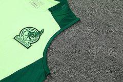 2024-25 Mexico training vest