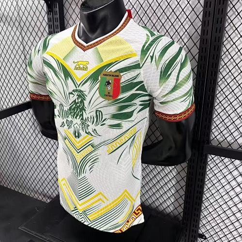 2025-26 Mali Home and Away Jerseys - Player Version