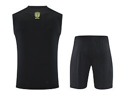 2025-26 Brazil vest training jersey