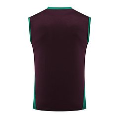 2024-25 Mexico training vest jersey