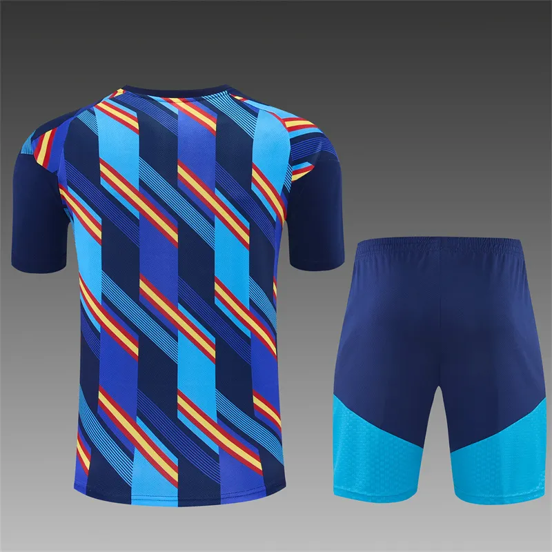 2026-27 Spain Royal Blue Short-Sleeve Training Jersey