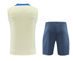 2024-25 Inter Milan Training Vest Jersey