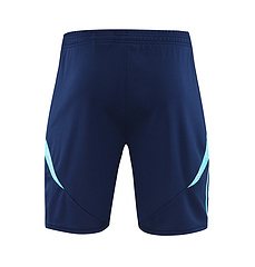 2024-25 Arsenal training vest jersey
