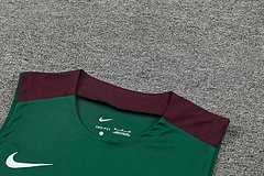 2024-25 Paris Saint-Germain training vest