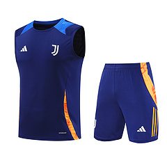 2024-25 Juventus training vest jersey
