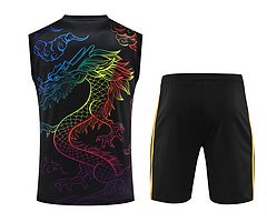 2024-25 Real Madrid Training Vest Jersey
