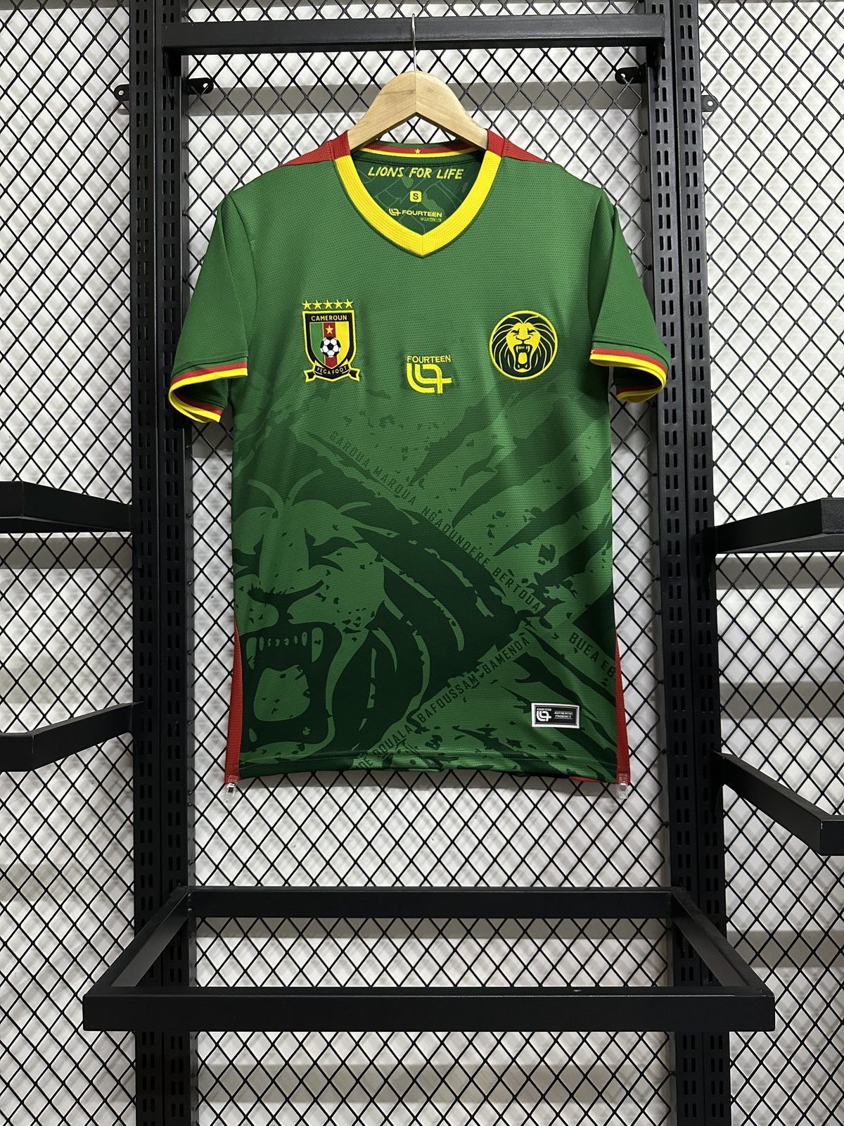 2025-26 Cameroon Home Jersey - Fan Edition