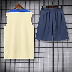 2024-25 Inter Milan Training Vest Jersey