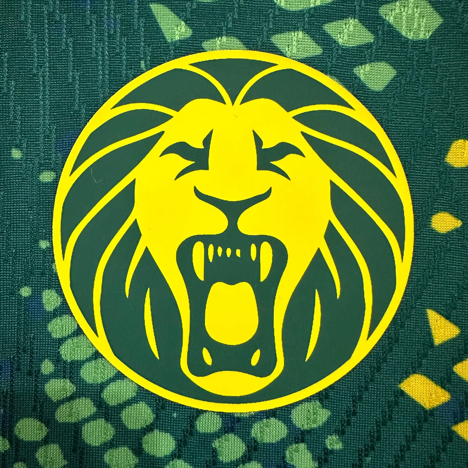 2026-27 Cameroon Home Jersey – Player Version