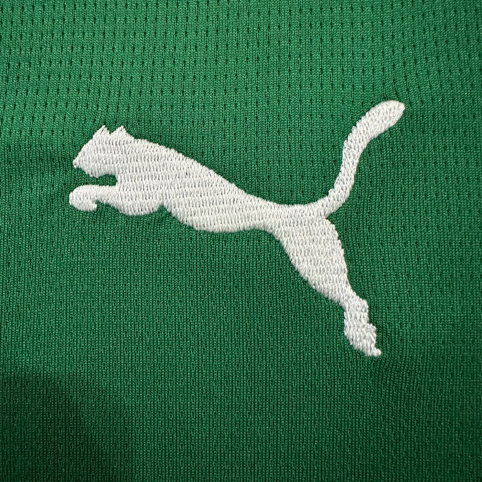 2026-27 Palmeiras Home Jersey – Fan Version