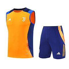 2024-25 Juventus training vest jersey