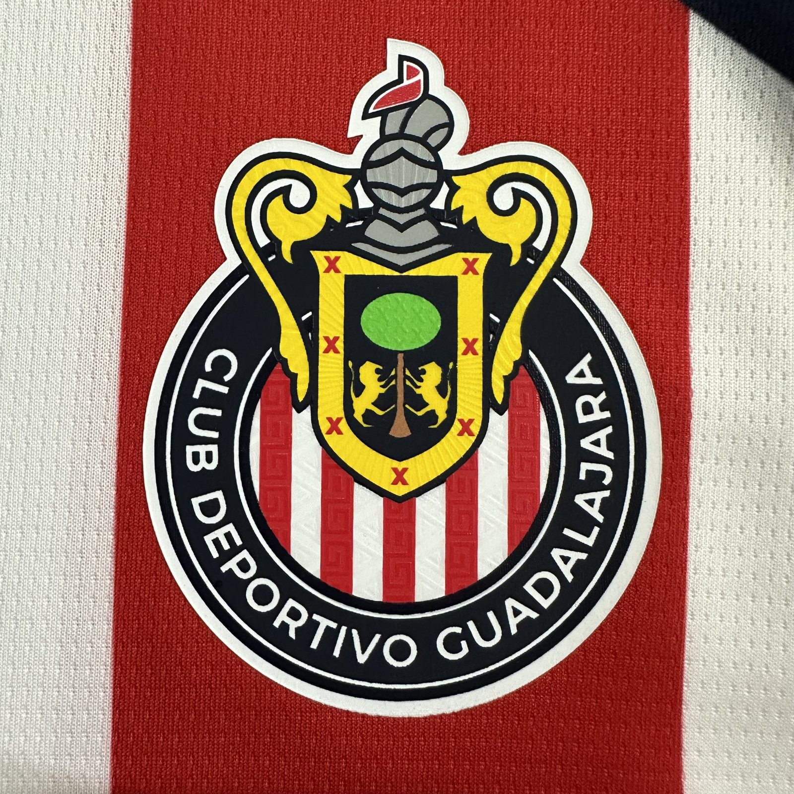 2025-26 Chivas Away Kit