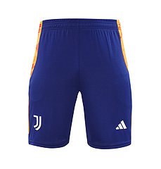 2024-25 Juventus training vest jersey