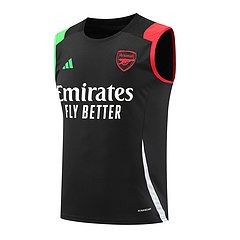 2024-25 Arsenal training vest jersey