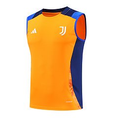 2024-25 Juventus training vest jersey