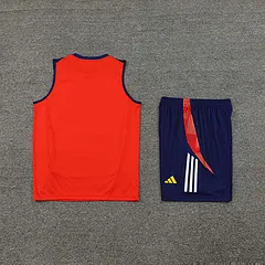 2024-25 Spain training vest jersey