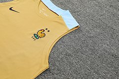 2024-25 France training vest