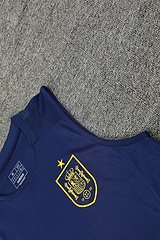 2024-25 Spain training vest jersey