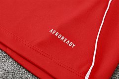 2025-26 Manchester United Red Half-Pull Training Jersey