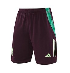 2024-25 Mexico training vest