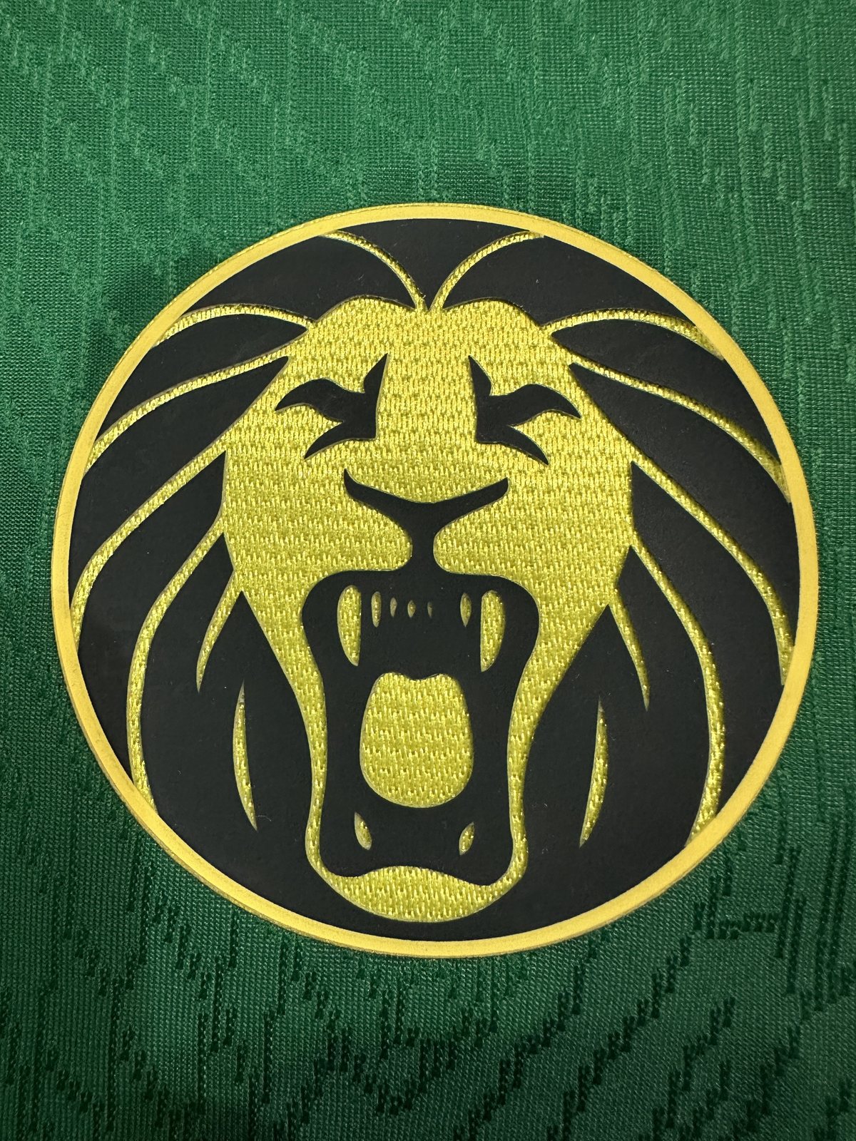 2025-26 Cameroon Home Jersey – Player Version