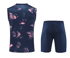 2024-25 Paris Saint-Germain training shirt