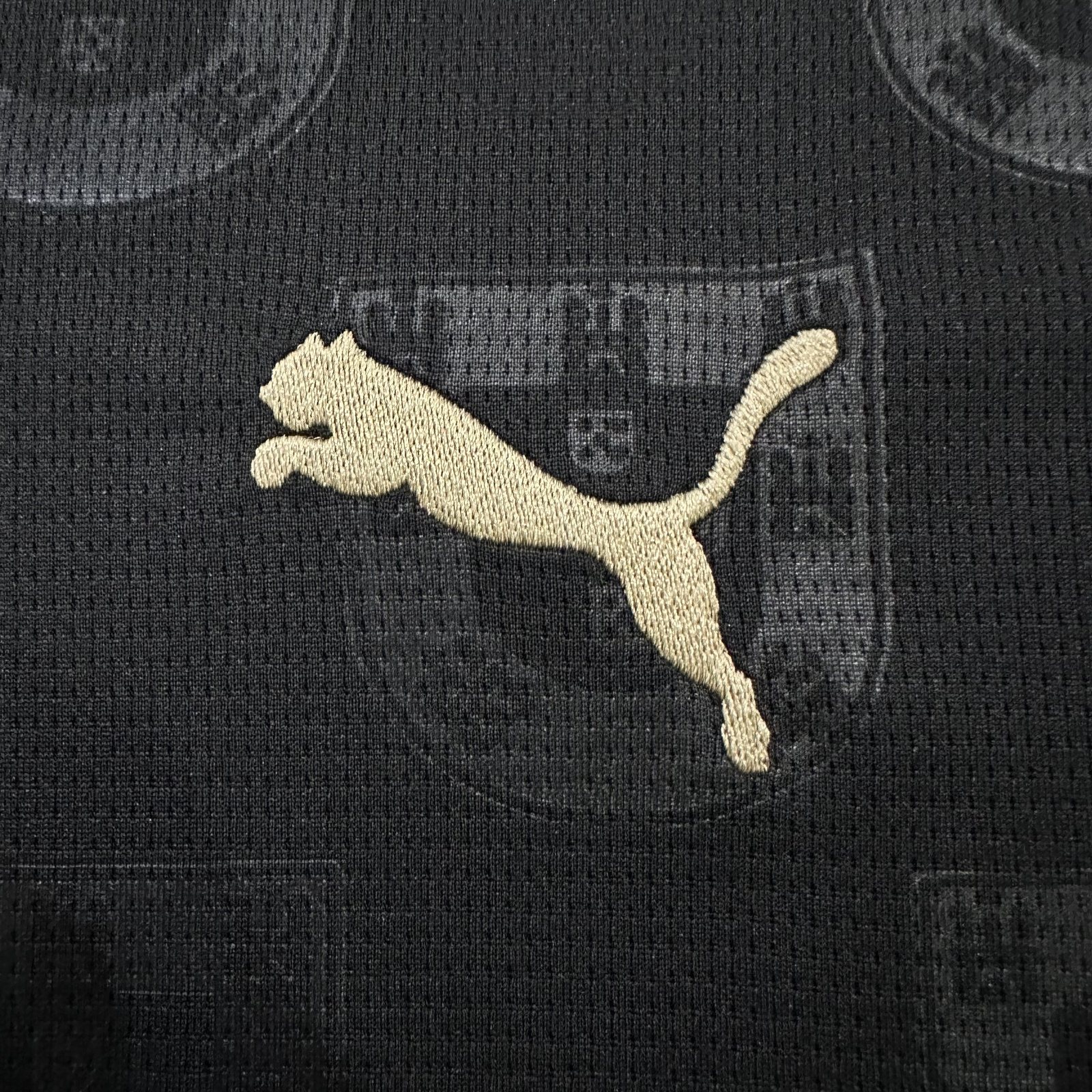 2026-27 Portugal "Black Panther" Special Edition Jersey – Fan Version