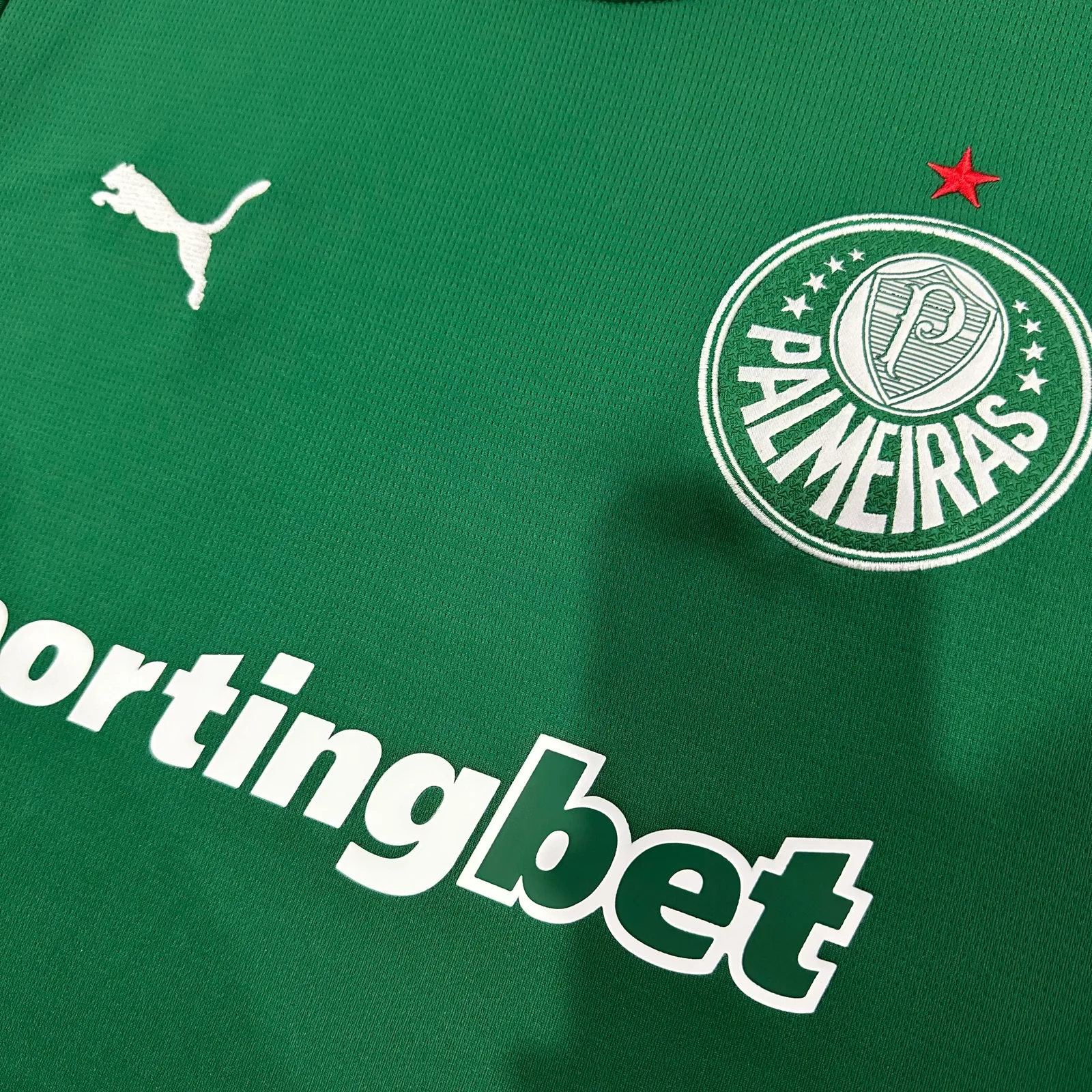 2026-27 Palmeiras Home Jersey – Fan Version