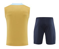 2024-25 France training vest