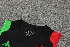2024-25 Arsenal training vest jersey