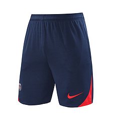 2024-25 Paris Saint-Germain training shirt